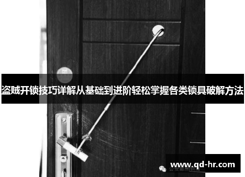 盗贼开锁技巧详解从基础到进阶轻松掌握各类锁具破解方法